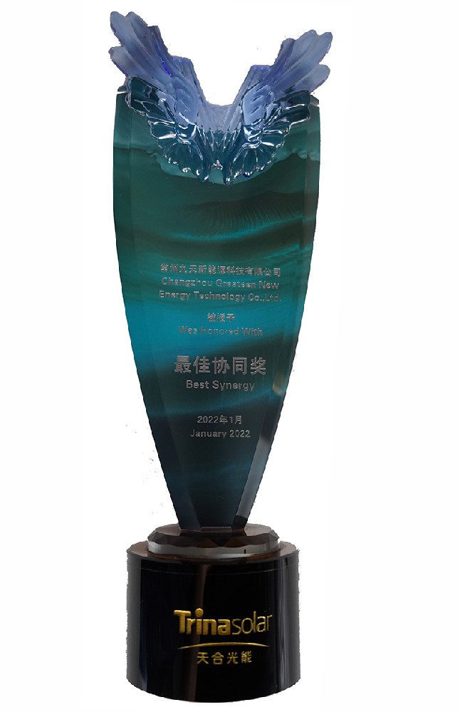 2021天合光能最佳協(xié)同獎